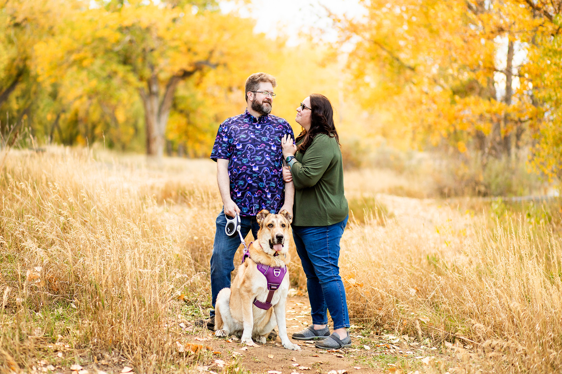 Engaged couple with their dog in the fall near Longmont Colorado